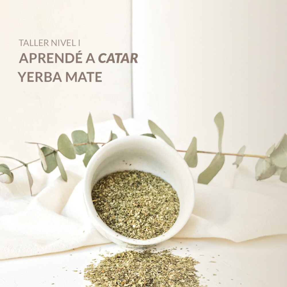 Nivel I - Aprenda a provar a Erva Mate