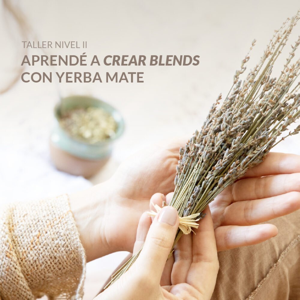 Nivel II - Aprenda a criar misturas com Erva Mate