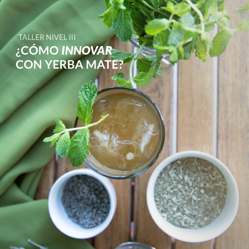 Nivel III - Como inovar com a erva-mate?