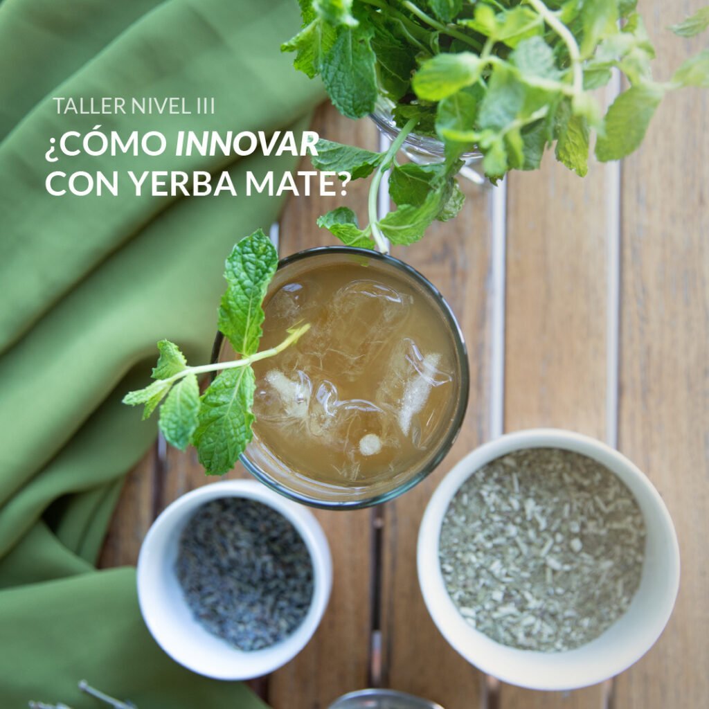 Nivel III - Como inovar com a erva-mate?