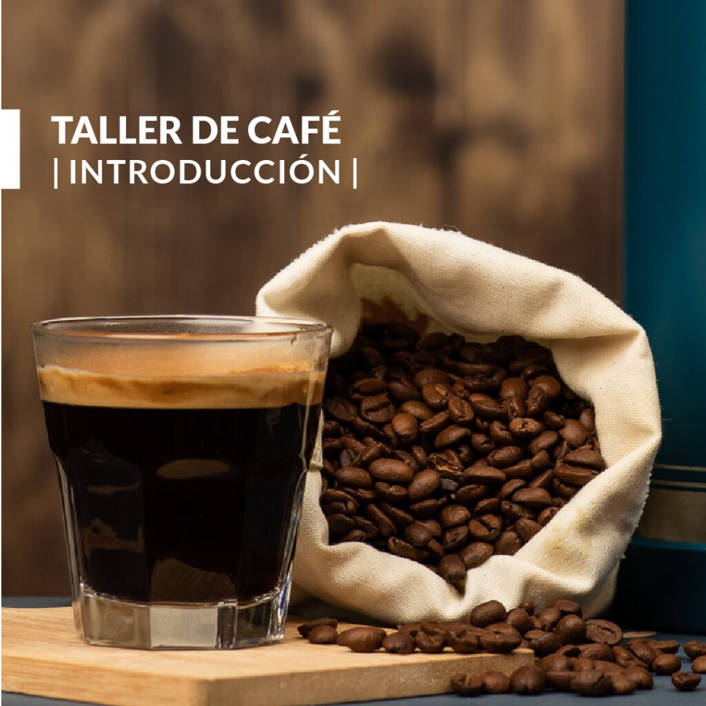 Workshop sobre Café