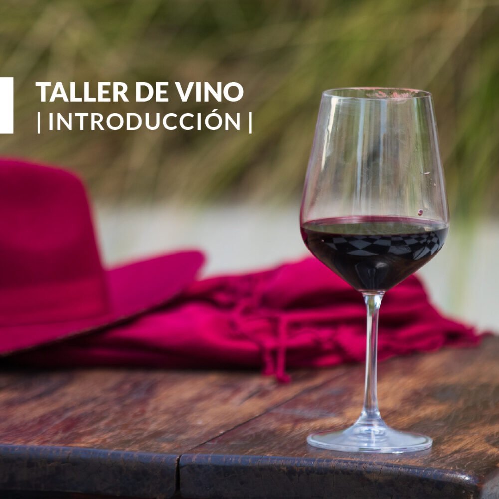 Workshop sobre Vinhos